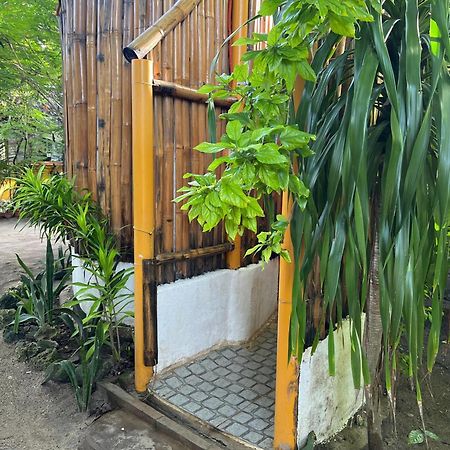 Georgia'S Neverland Hostel Logon Εξωτερικό φωτογραφία